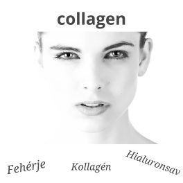 Fehérjék/Kollagének/Izületvédelem