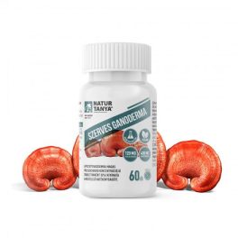 Natur Tanya Szerves Ganoderma tabletta 60 db